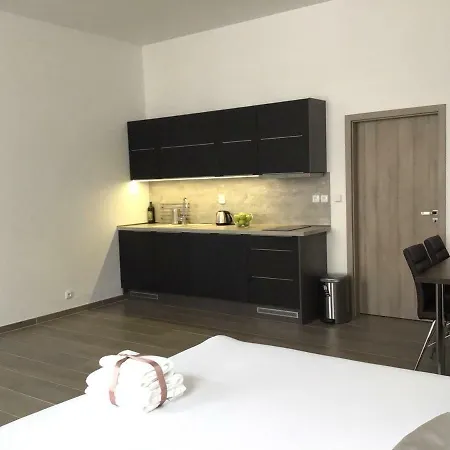 Euro Apartments Lidicka 39 Brno Extérieur photo